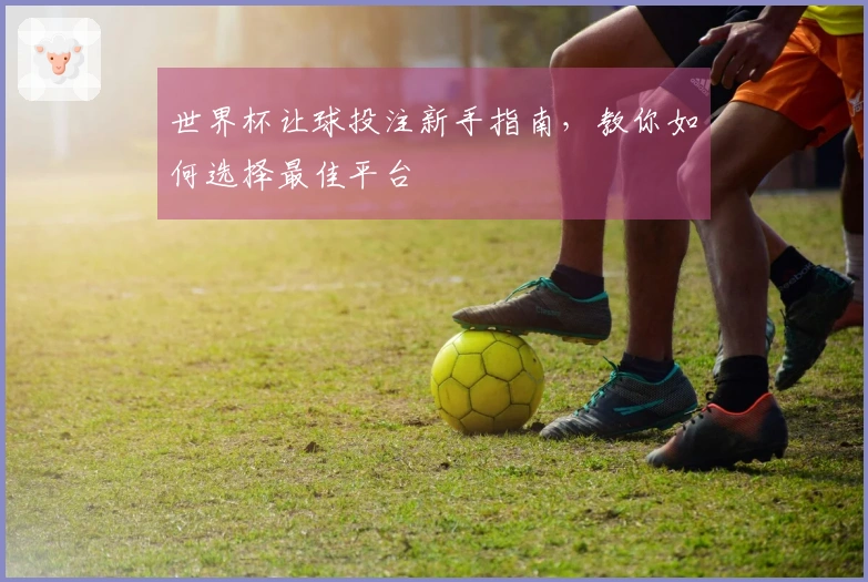 世界杯让球投注新手指南，教你如何选择最佳平台