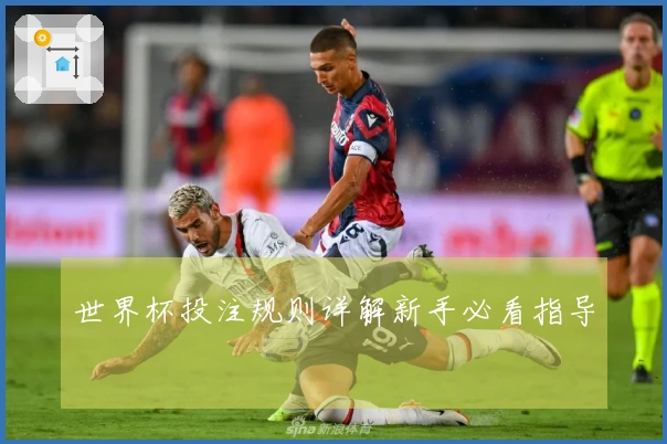 世界杯投注规则详解新手必看指导
