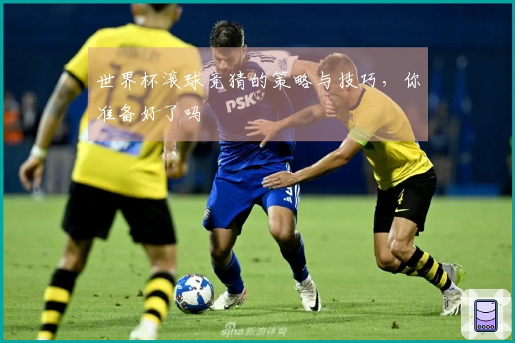 世界杯滚球竞猜的策略与技巧，你准备好了吗