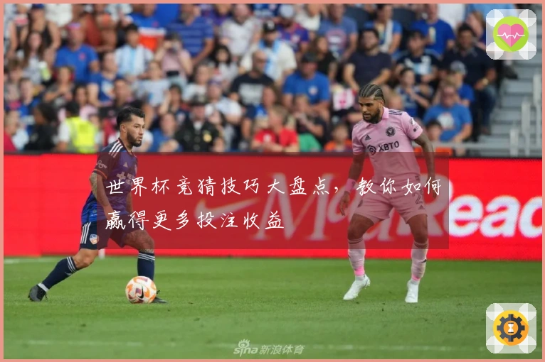 世界杯竞猜技巧大盘点，教你如何赢得更多投注收益