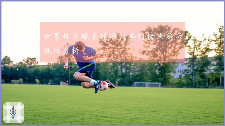 世界杯买球竞猜网站排行榜及购买技巧分析