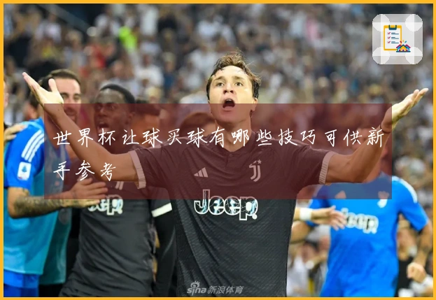 世界杯让球买球有哪些技巧可供新手参考
