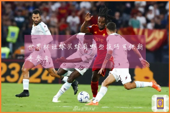 世界杯让球买球有哪些技巧可供新手参考